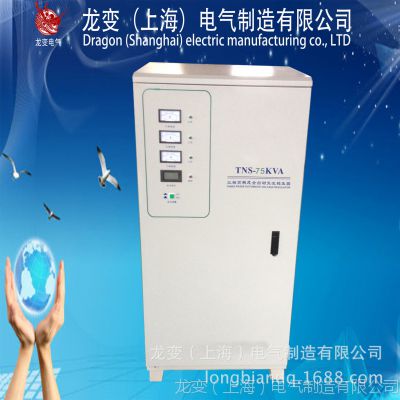 TNS-80KVA߾ȫԶѹɶֵѹȼ