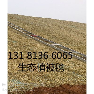 环保植生毯公路边坡防护 麻网椰纤维毯 济南植物纤维毯边坡防护、环保草毯植草护坡