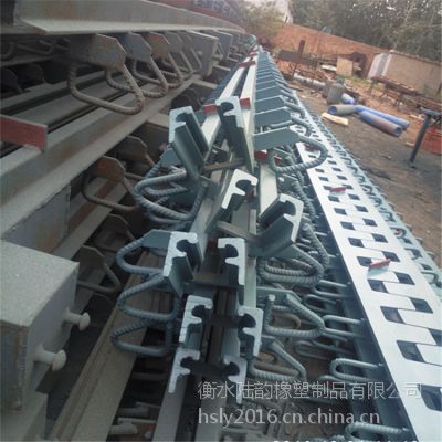 安庆市和平路 GQF-C60型桥梁伸缩缝 陆韵桥梁伸缩缝配件