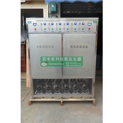 供应厂家直销百丰科技BF-YE-200g臭氧发生器