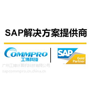 东莞SAP ERP公司 SAP东莞地区实施商 东莞SAP系统实施 东莞sap咨询公司