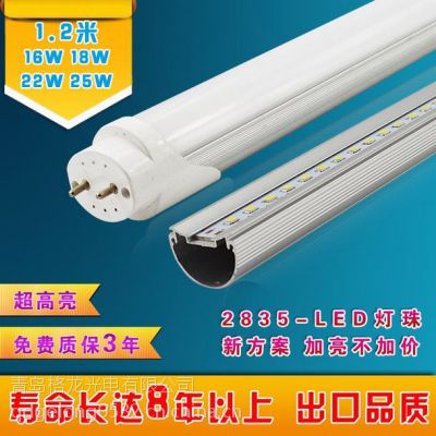 (yng)|I(yng)16w 1.2m t8EAledչa(chn)S