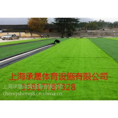 大中小学校人造草坪厂家(图1)