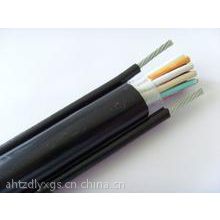 RVVG/RVV1G/RVV2G电动葫芦钢丝电缆