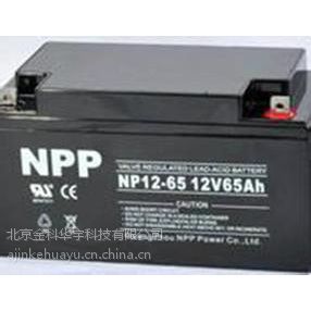 耐普蓄电池NP65-12报价 原装***