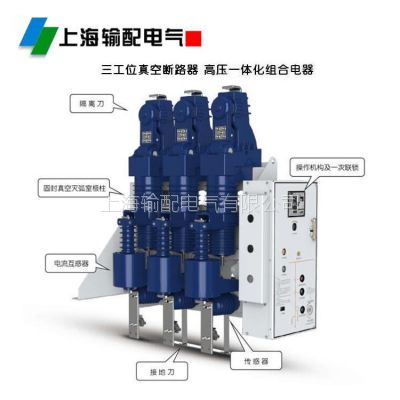 ASTG-F2-12RD/T125-31.5固封式高压真空开关-熔断器组合电器(带接地开关)