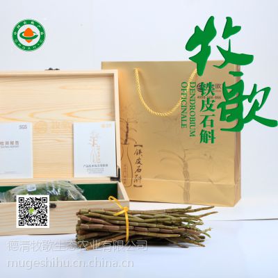 牧歌鲜活系列时尚礼盒铁皮石斛不带叶鲜条500g