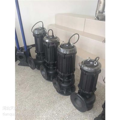 WQ_工业废水泵_65WQ25-10-1.5