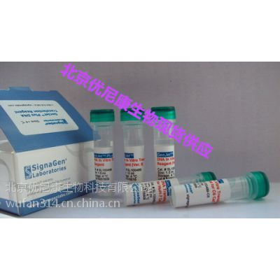 SignaGen SL100468 LipoJetDNA In VitroתȾԼ