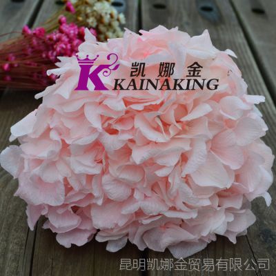 云南永生花花材大叶绣球保鲜花 创意七夕情人节礼品DIY花艺***