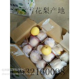 ӱѩ桢ӱѩ桢ӱʹ桢ӱˮ桢ӱƹ