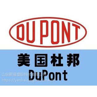 ڽŰ66DuPont Zytel PA66Ű101F