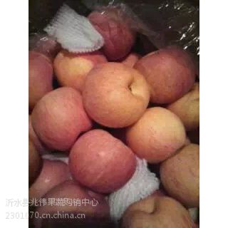 ɽƻɽ츻ʿƻӦɽƻ۸