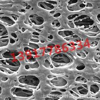 GPWP01300 Millipore Express 0.22um亲水PES白色13mm表面滤膜