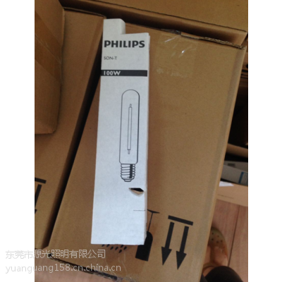 PHILIPS Դ SON-T 100W ѹƵ