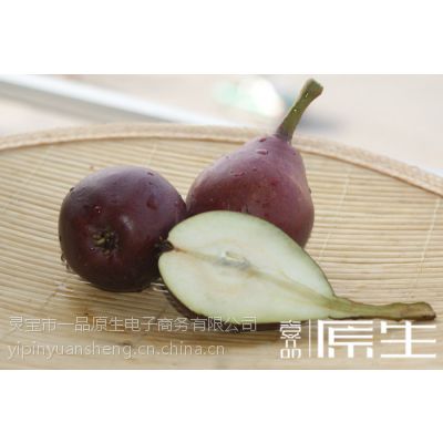 Ӧ55Ϻ