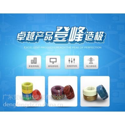 专业阻燃电线电缆销售广东登峰电线电缆 品质保障