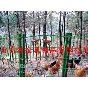 广西三黄鸡养殖网#广西养殖铁丝网片#养殖塑料铁丝网片厂家
