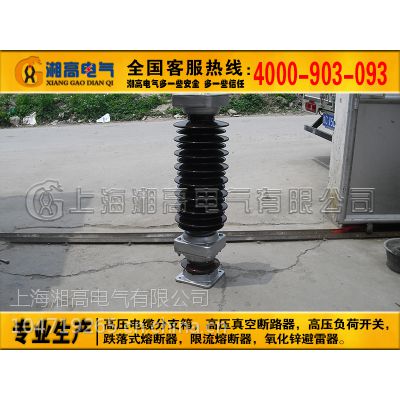 66KVпYH10WZ-84/221 YH10WZ-90/235