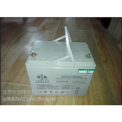 ˫6-GFM-38 12V38AHֻӦ۸
