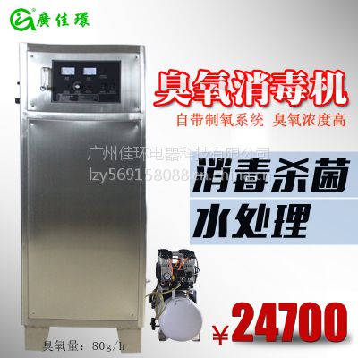 成都臭氧发生器,成都80克氧气源臭氧发生器,广加环YT-017-80A臭氧机