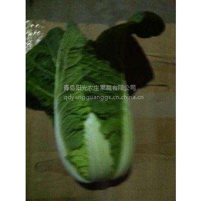 ڴţСŻĴײ-ൺũׯ޹˾