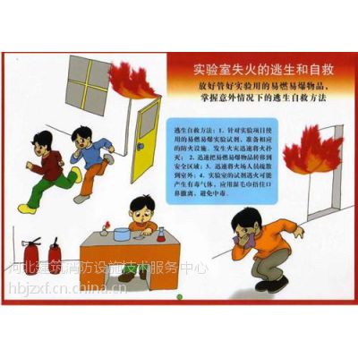 河北建筑消防中心(图),秦皇岛消防维护检测,消防维护检测