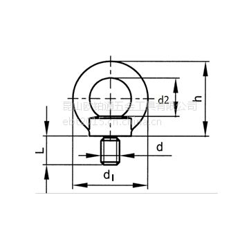 ˨ Lifting eye bolts