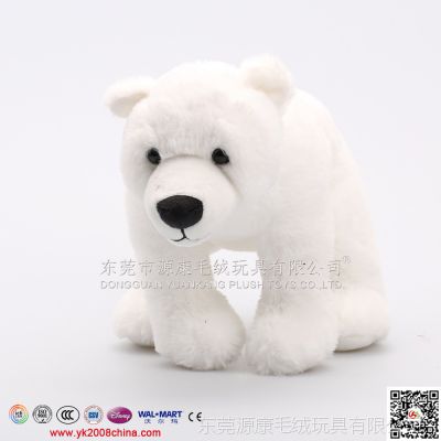 ͨ߱ ë ̩ܱteddy bear