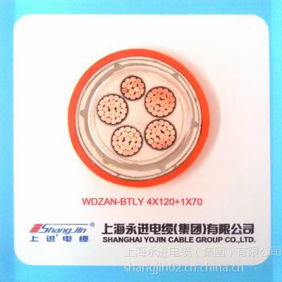 ӦʵNG-A-3*16 2*10