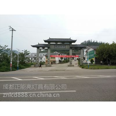 四川太阳能路灯厂家工程案例