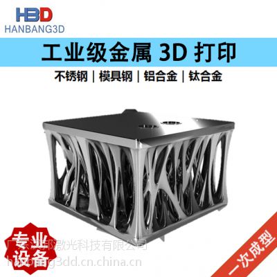 㶫ʡҵ3Dӡ ߾ְģ SLMĩǿݴӡ ٳģ