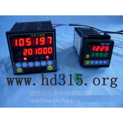 计数器（带传感器另配）型号:SST10ZSK-613