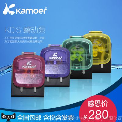 KDS蠕动泵 精密 微型水泵 大流量实验室仪器泵 新品***