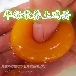 Ӧ̿ǵ̿ǵ磬̿ڼ