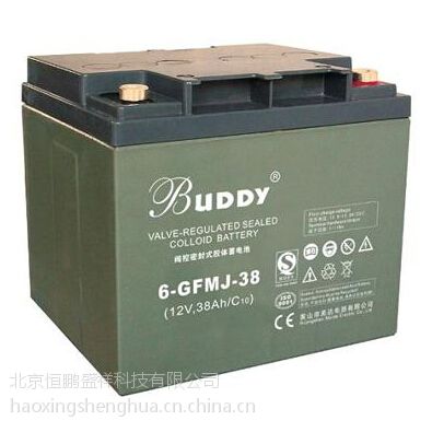 ͺ6-FMJ-90۸/BUDDYǦ12V90AH