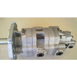 苏州批发派克液压泵G52516-1E13S-20R齿轮泵G5-20-1FE13F-20L