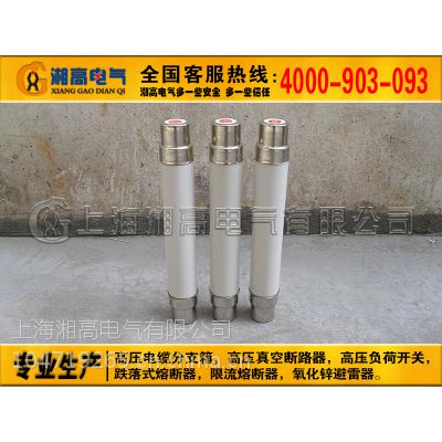 XRNT-10KV/50A高分断能力高压限流熔断器