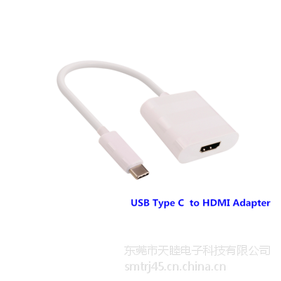 供应USB Type C to DP F Adapter 两端成型