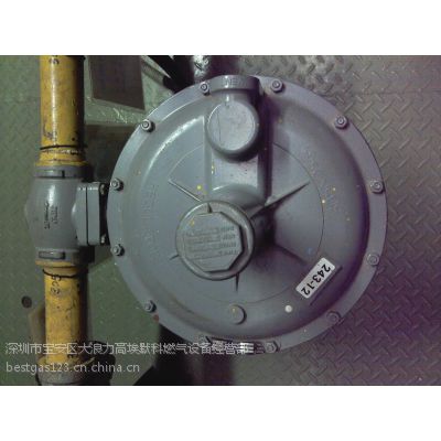 SENSUS 243ȼѹ243-8/243-12/243-8-6/243-8HP/˹ѹ