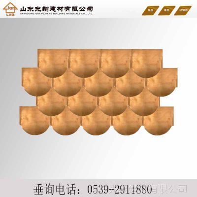 ֱ潨