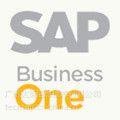 SAP business one-中小型企业适用ERP_广州达策