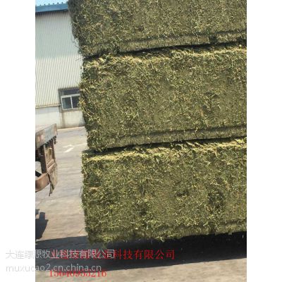 西班牙苜蓿草天津、青岛、上海、宁波、大连