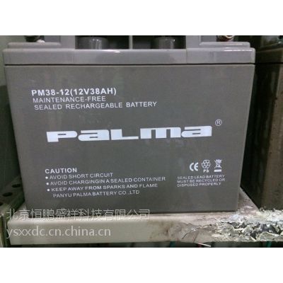 PM38-12 12V38Ah八马Palma蓄电池/价格