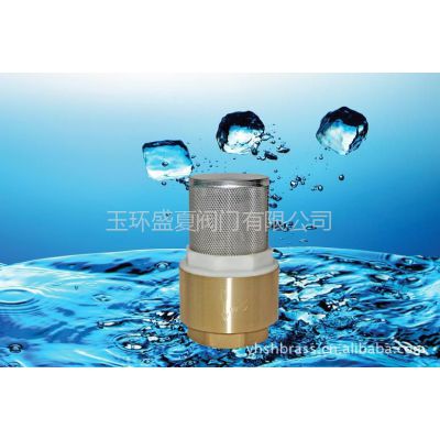 供应黄铜底阀 带网止回阀