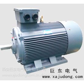 变频调速电机YJTG-200L1-2 30KW