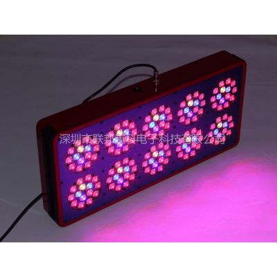 Ӧ300W ledֲ͸߹Ч 񲹹