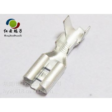 205直型端子 250直型母端 110端子 187母端直销 红云现货供应