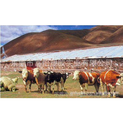 供应寿命达10年以上PE万通板 3mm万通板***格 PE塑料万通板