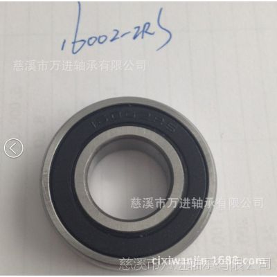 ֻӦ16002 2RS 